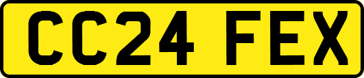 CC24FEX