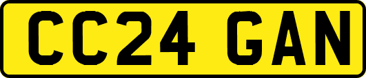CC24GAN