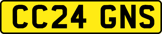 CC24GNS
