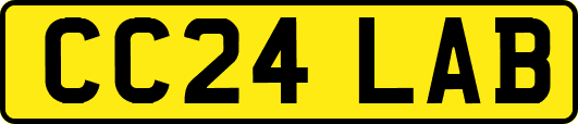 CC24LAB