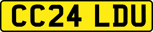CC24LDU