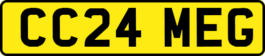 CC24MEG