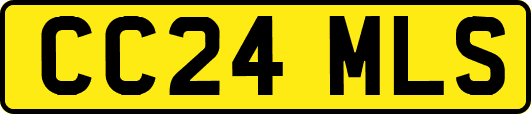 CC24MLS