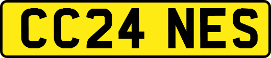 CC24NES