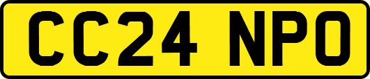 CC24NPO