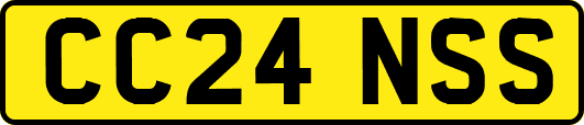 CC24NSS