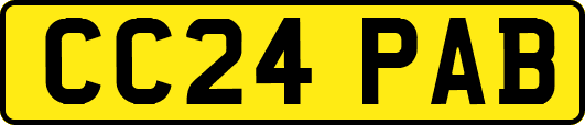 CC24PAB