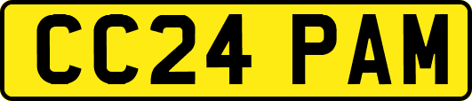 CC24PAM