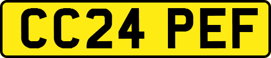 CC24PEF