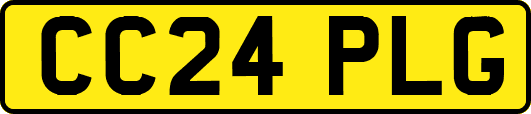 CC24PLG
