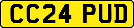 CC24PUD