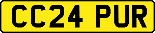 CC24PUR