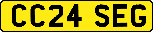 CC24SEG