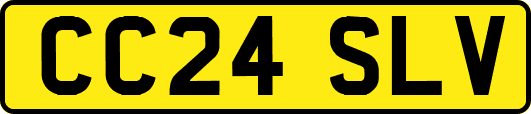 CC24SLV
