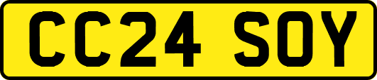 CC24SOY
