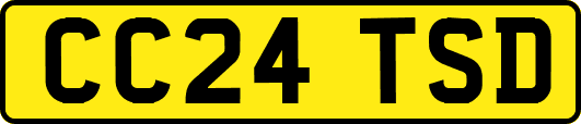 CC24TSD