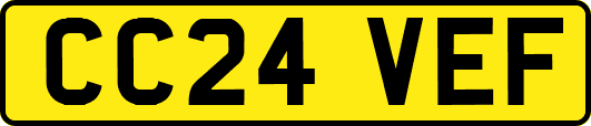 CC24VEF