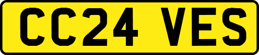 CC24VES