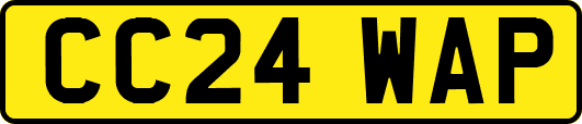 CC24WAP