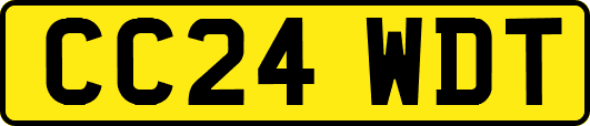 CC24WDT