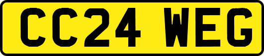 CC24WEG