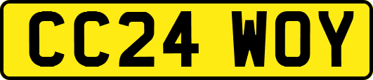 CC24WOY