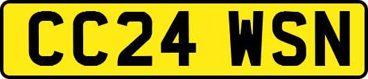 CC24WSN