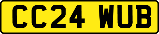 CC24WUB