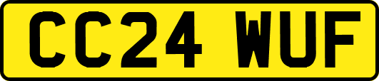 CC24WUF
