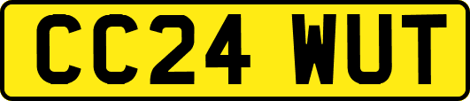 CC24WUT