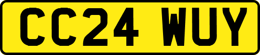 CC24WUY