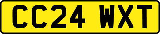 CC24WXT
