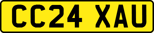 CC24XAU