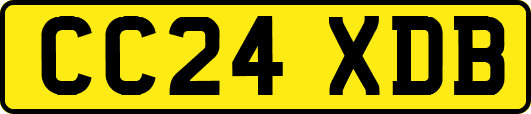 CC24XDB