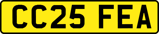 CC25FEA