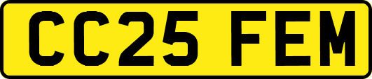 CC25FEM