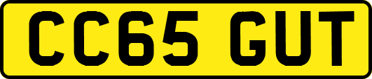 CC65GUT