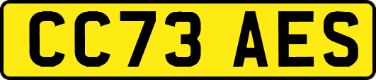 CC73AES