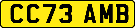 CC73AMB