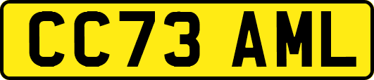 CC73AML