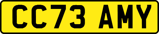 CC73AMY