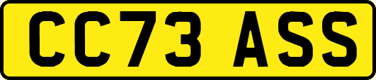 CC73ASS
