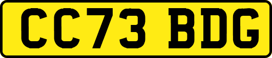 CC73BDG