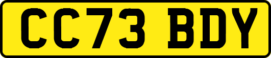 CC73BDY