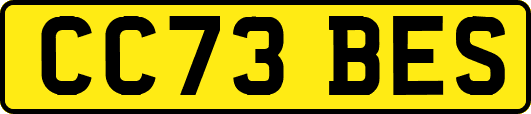 CC73BES