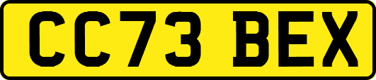 CC73BEX