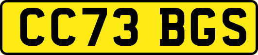 CC73BGS