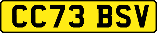 CC73BSV