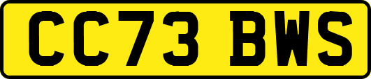 CC73BWS