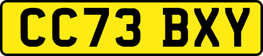 CC73BXY